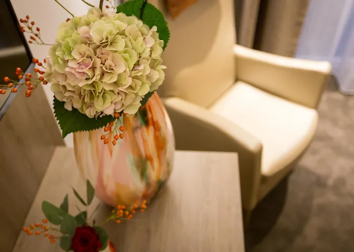 酒店 Boutique Scheepers 法尔肯堡