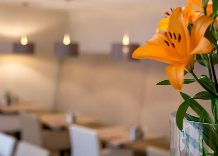 酒店 Boutique Scheepers 法尔肯堡