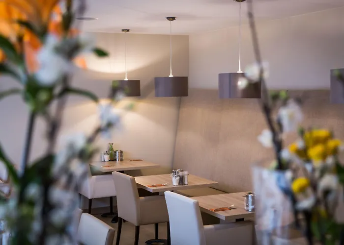 Boutique Scheepers 酒店 法尔肯堡