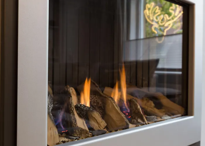 酒店 Boutique Scheepers 法尔肯堡