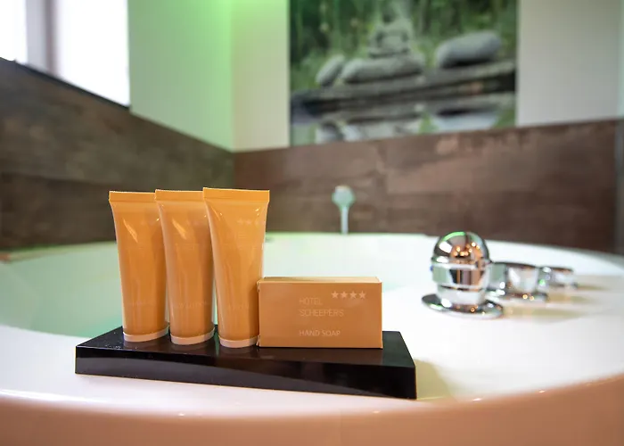 酒店 Boutique Scheepers 法尔肯堡